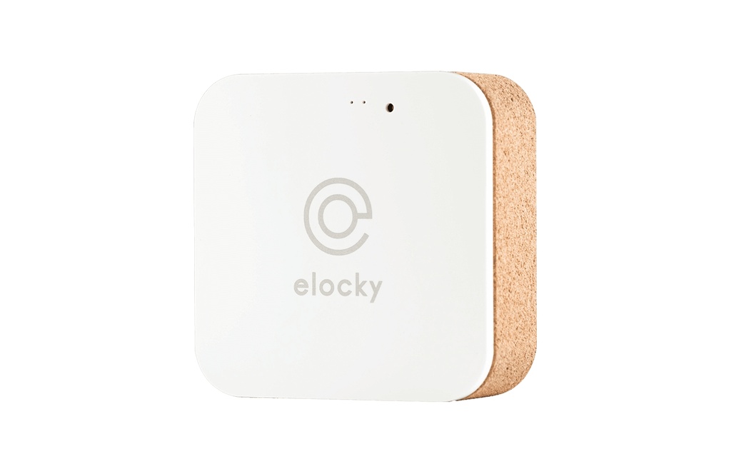 BOX CONTROL ELOCKY / EKY EZY BOX