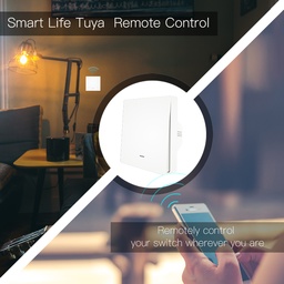[DOM12] Interrupteur 1 canal Wi-Fi & RF433 MOES / WRS-B-EU1-WH-MS