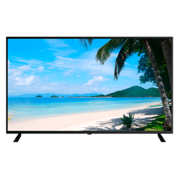[MNT55-4K] Moniteur LED 55"