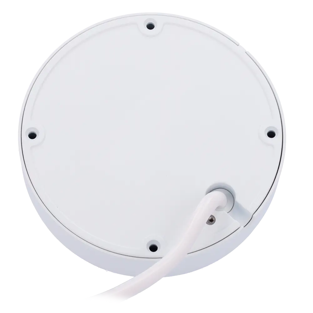 detalle2 - 2025-08-25T121039.908.webp