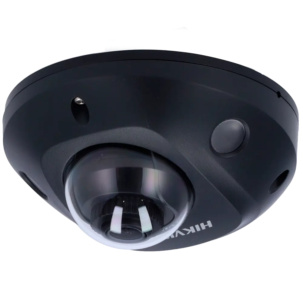 DS-2CD2543G2-IS(2.8mm)(BLACK)