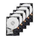 Paquet de 10 disques durs / 10XHD2TB-T