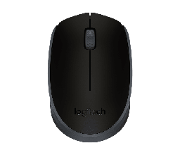 [M171] LOGITECH Souris Sans fil
